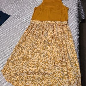 LOFT dress. Size 10P.